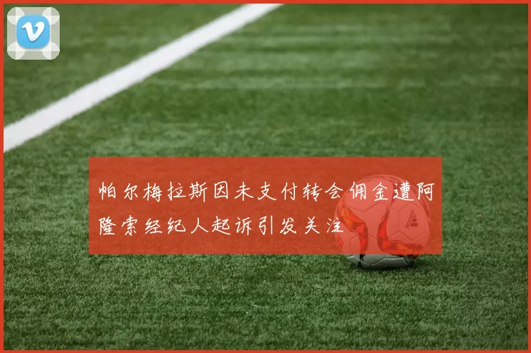 帕尔梅拉斯因未支付转会佣金遭阿隆索经纪人起诉引发关注