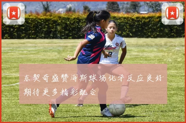 东契奇盛赞海斯球场化学反应良好期待更多精彩配合