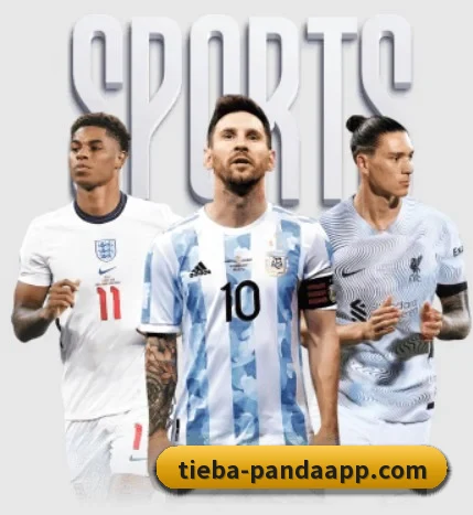 平台简介 - 体育资讯内容服务(PANDASPORTS)